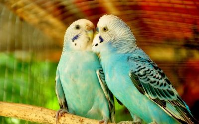 7 consejos para comunicarte adecuadamente con tu pareja